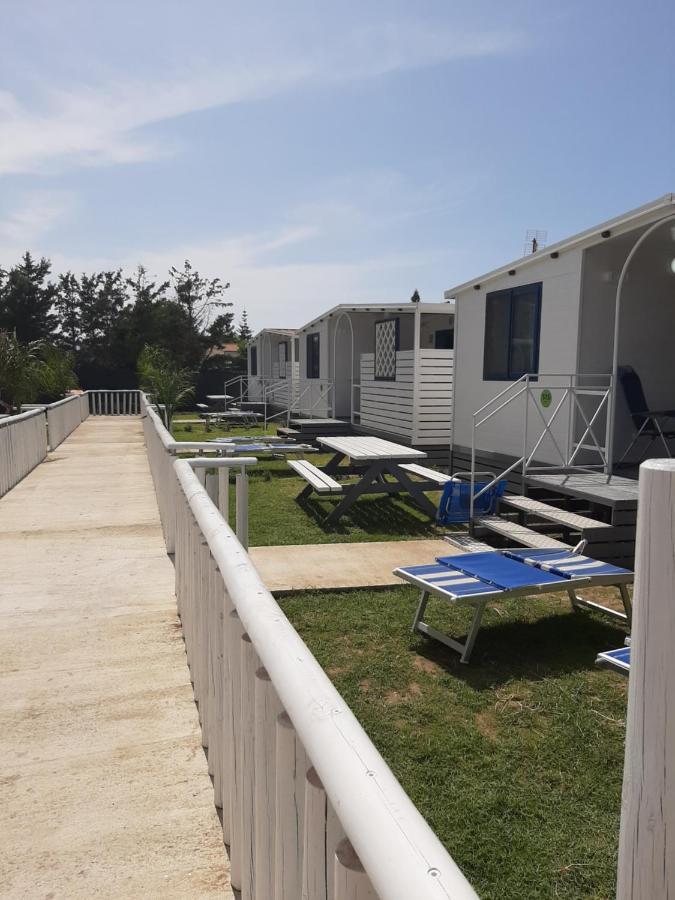 Mare Camping