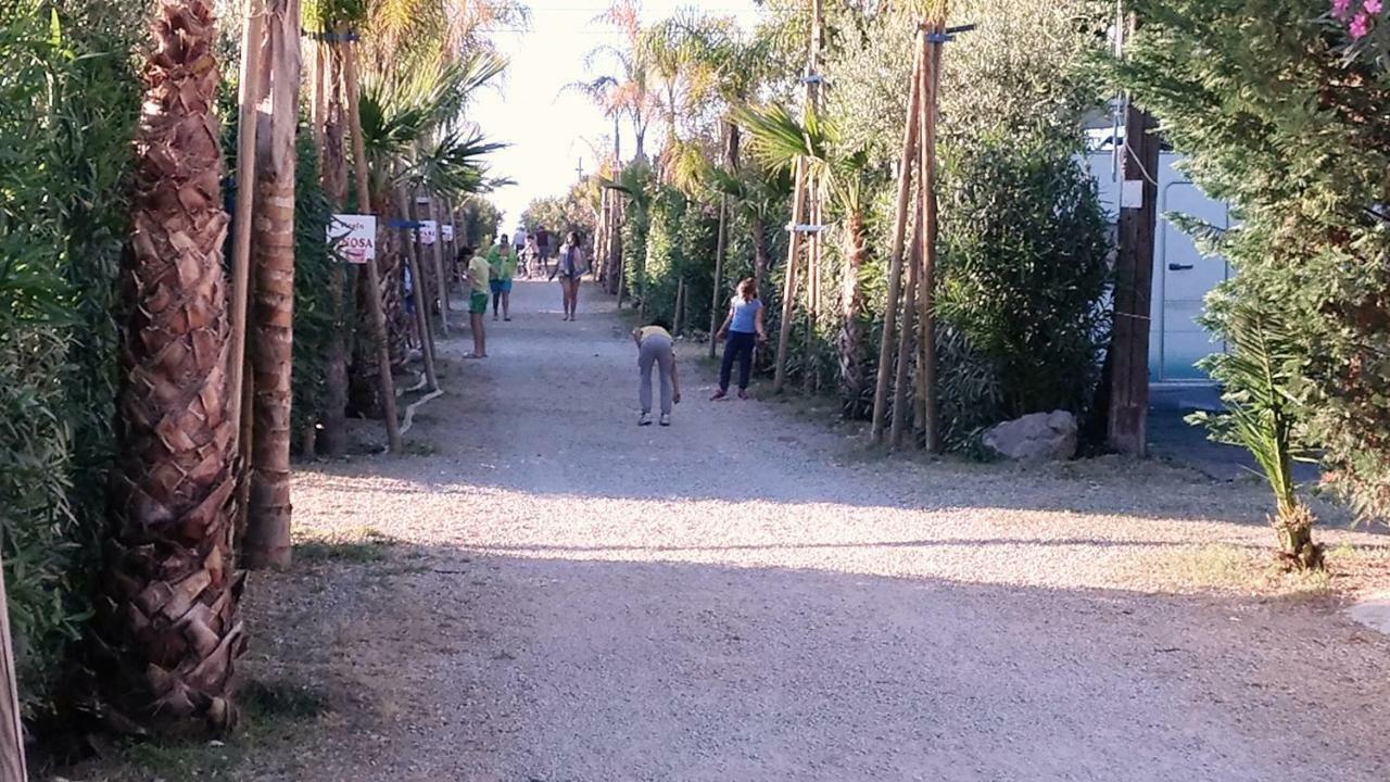 Mare Campsite