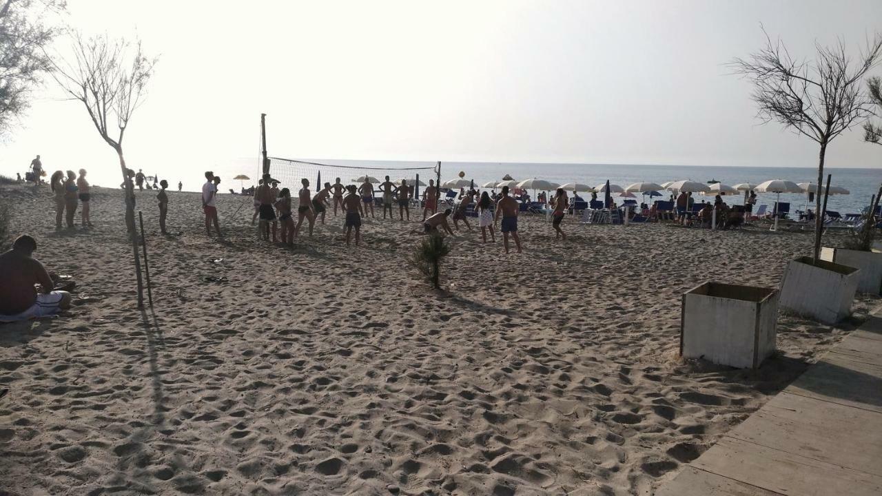 Mare Campsite